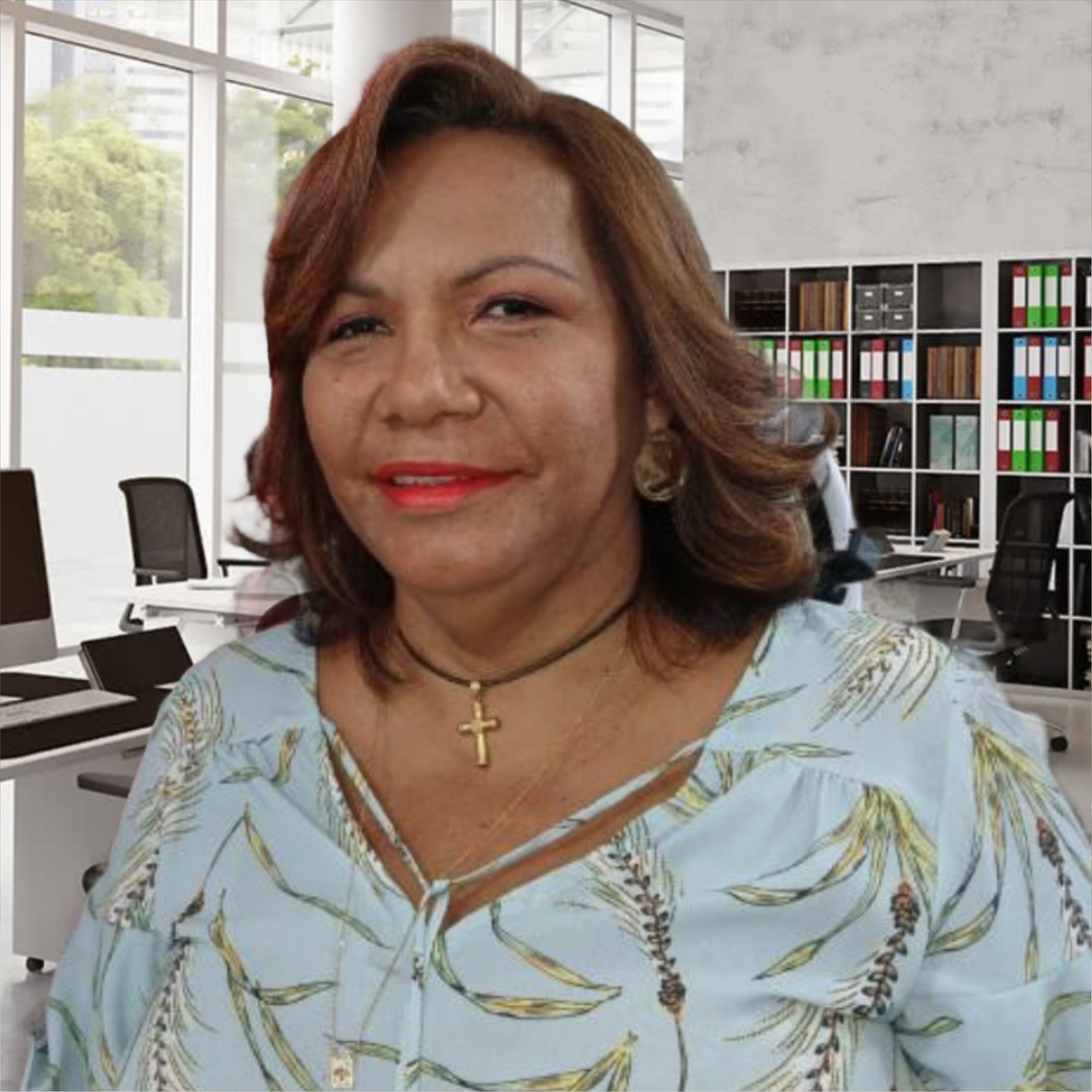 Hildete da Costa